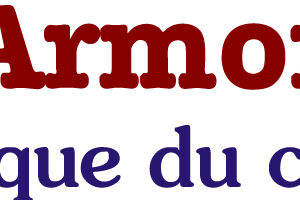 Frais règlement par Carte Bancaire